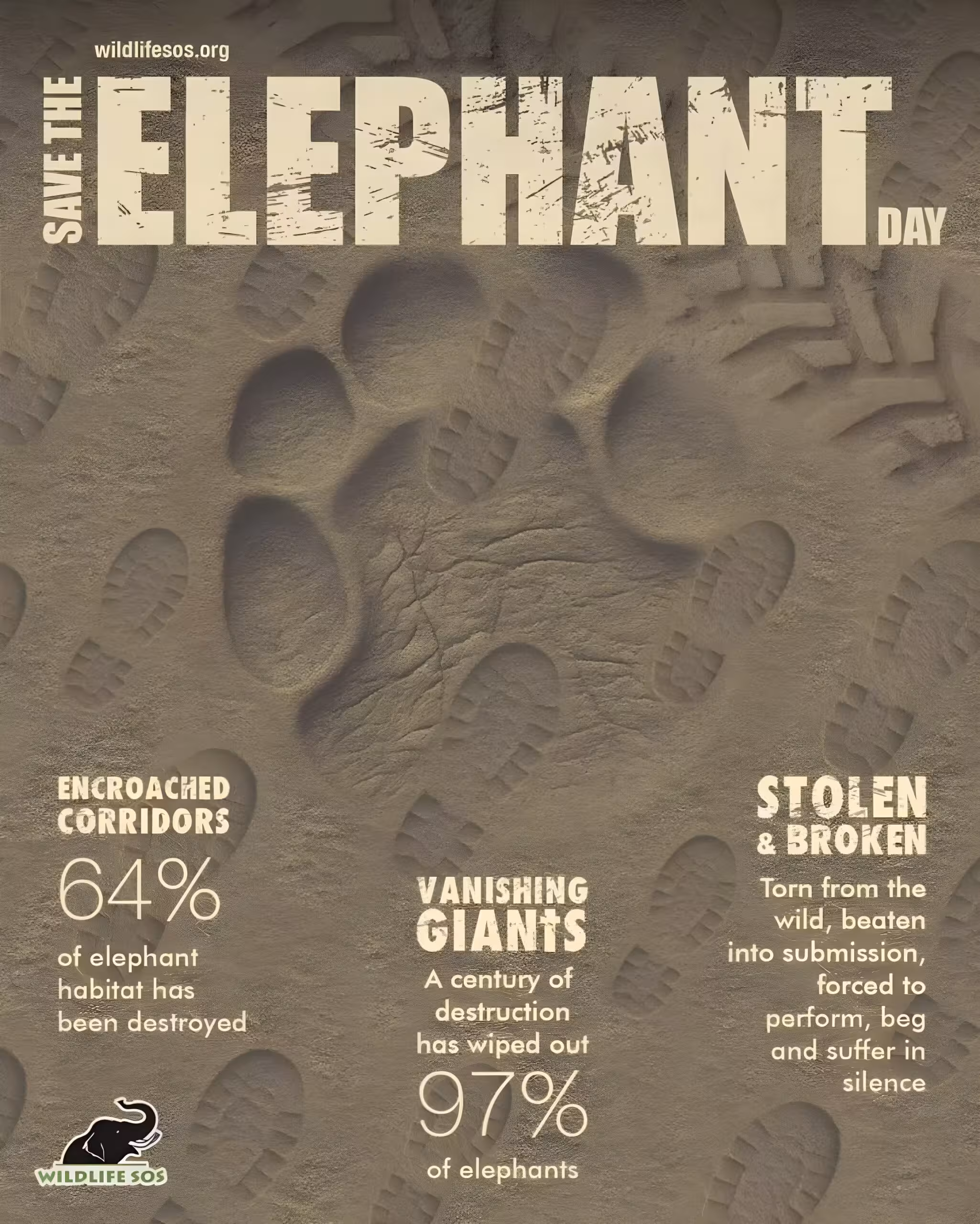 Adil Hussain Advocates For Elephant Conservation On International Elephant Day