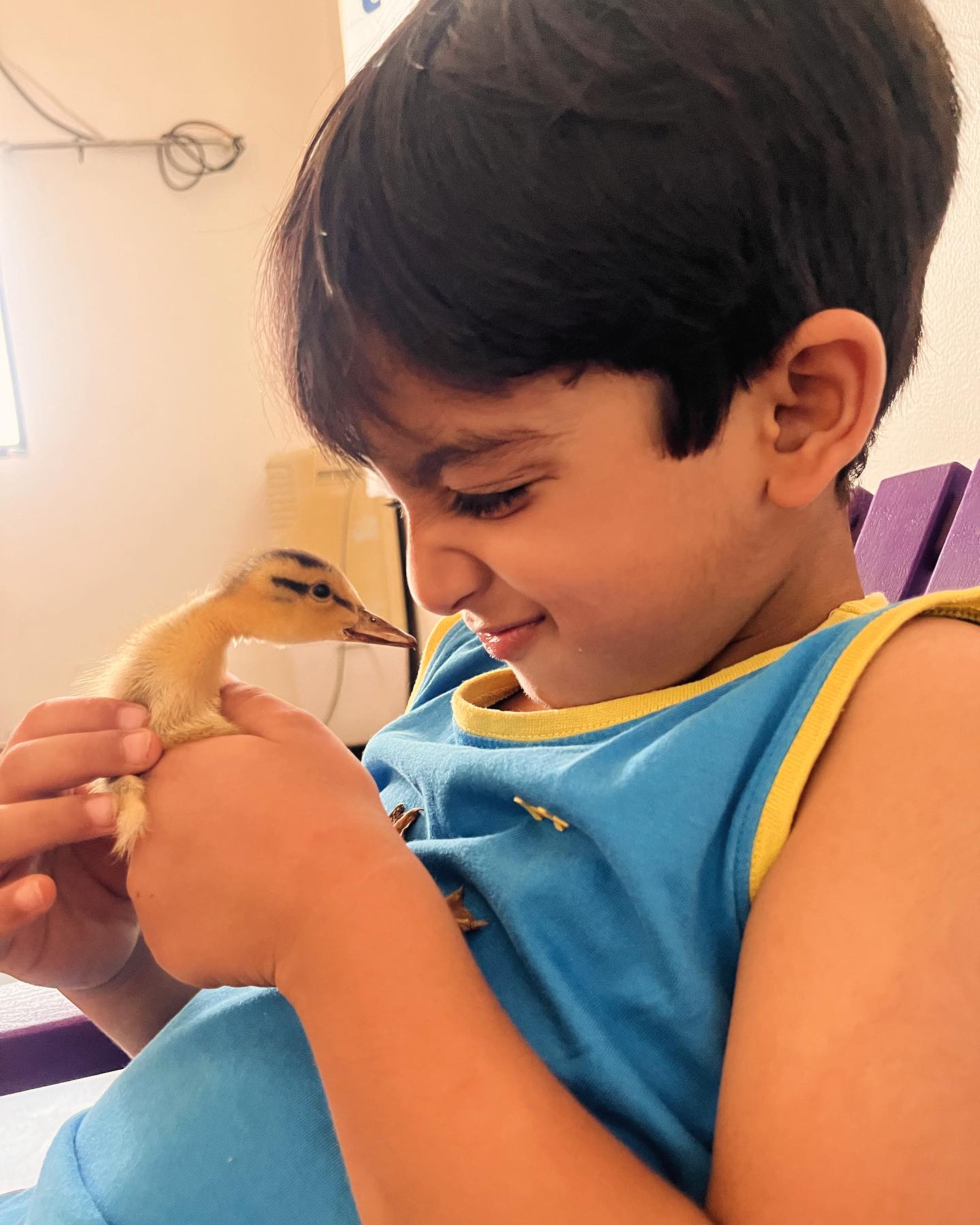 Aditi Sharma Welcomes Adorable Duckling In New Instagram Post Aditi Sharma Welcomes Adorable Duckling After Chicken Sits On Duck Egg