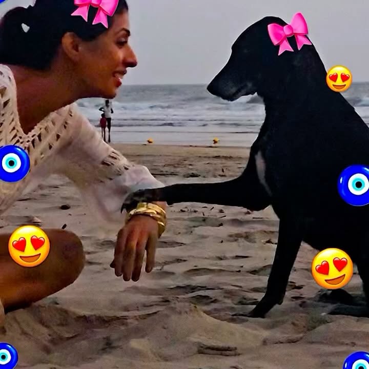 Aishwarya’s Perfect Goa Moment Includes Furry Beach Buddy Aishwarya Sakhuja Finds Serenity With Her Fur Baby On Beach Getaway In Goa