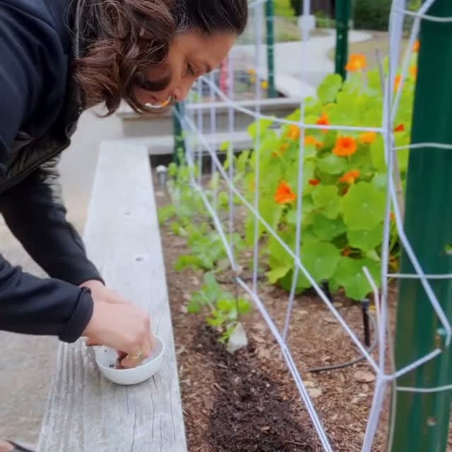 Ashwini Bhave Shares Powerful Earth Day Message With Eco-Friendly Post Ashwini Bhave Shares Powerful Earth Day Message With Eco-Friendly Post
