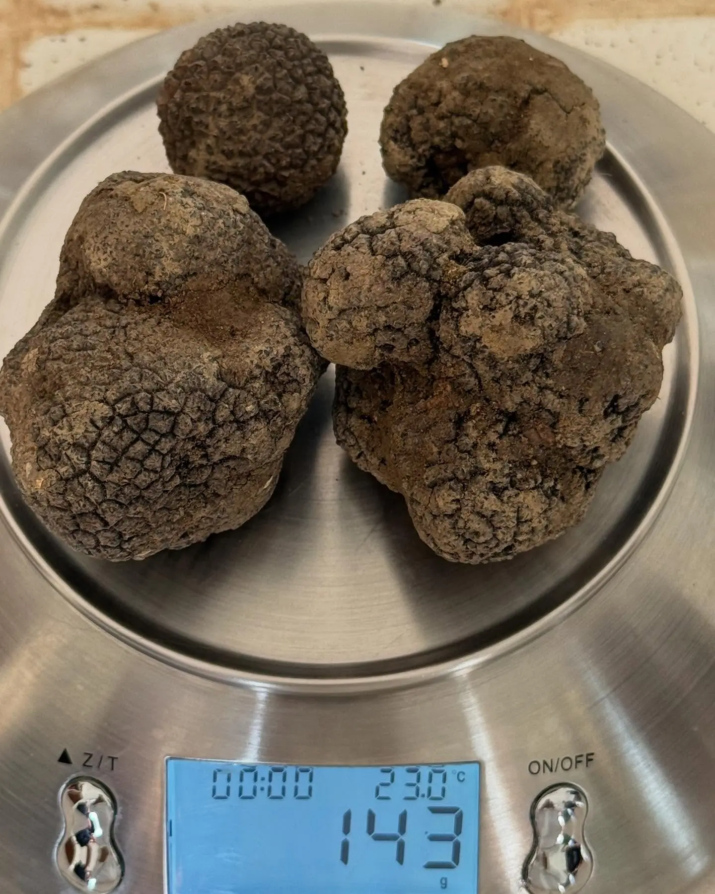 Deepti Bhatnagar Discovers Rare Black Truffle in Tuscan Forest Actress explores centuries-old gourmet tradition beneath forest soil