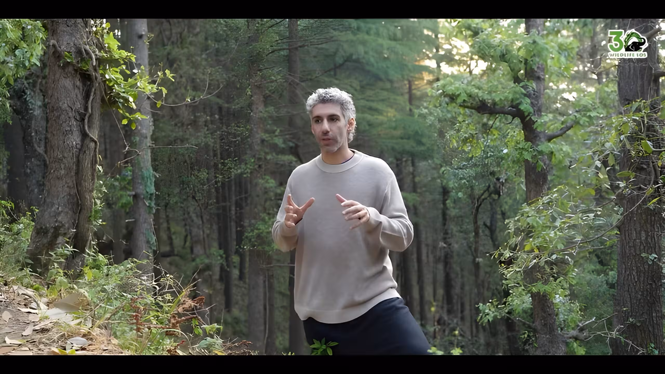 Jim Sarbh Voices Support for Wildlife SOS on Save Elephants Day Jim Sarbh Partners With Wildlife SOS For Save The Elephants Day Campaign