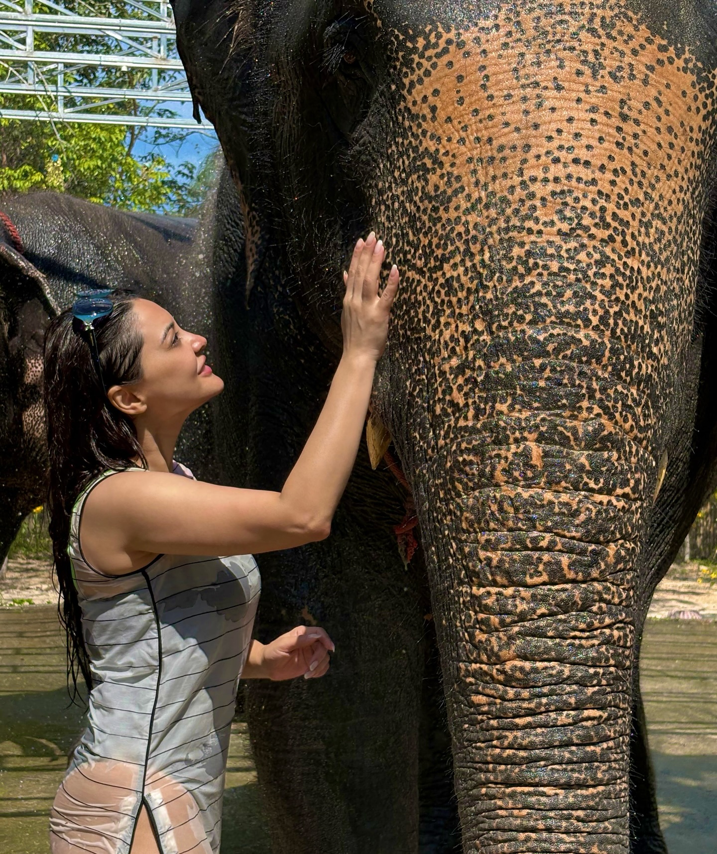 Minissha Lamba Shares Ethical Elephant Experience At Phuket Sanctuary With Family Minissha Lamba Shares Ethical Elephant Experience At Phuket Sanctuary With Family