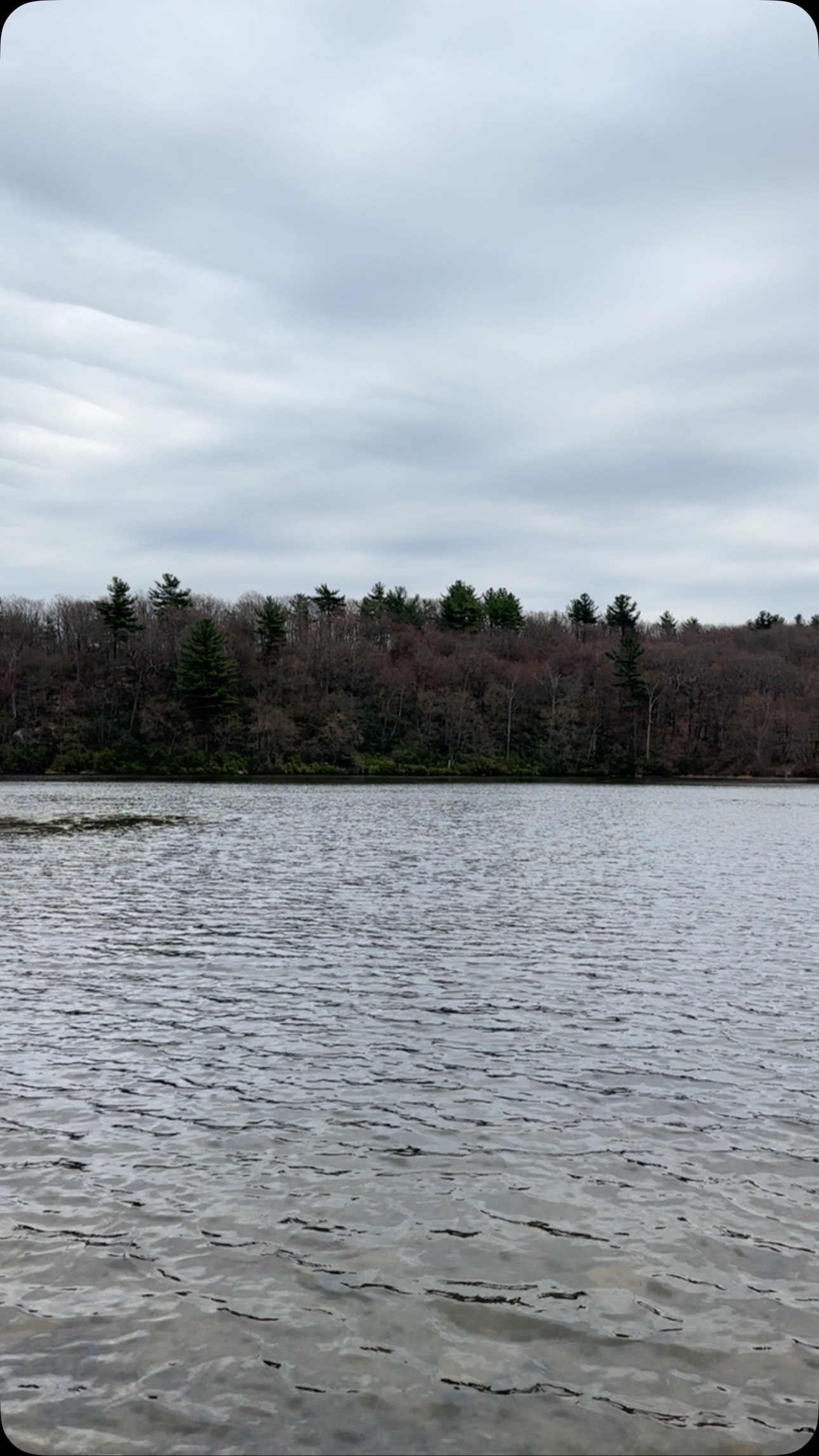 Rekha Rana Shares Poetic Reflection On Finding Beauty In Stillness Rekha Rana Shares Poetic Reflection On Finding Beauty In Stillness