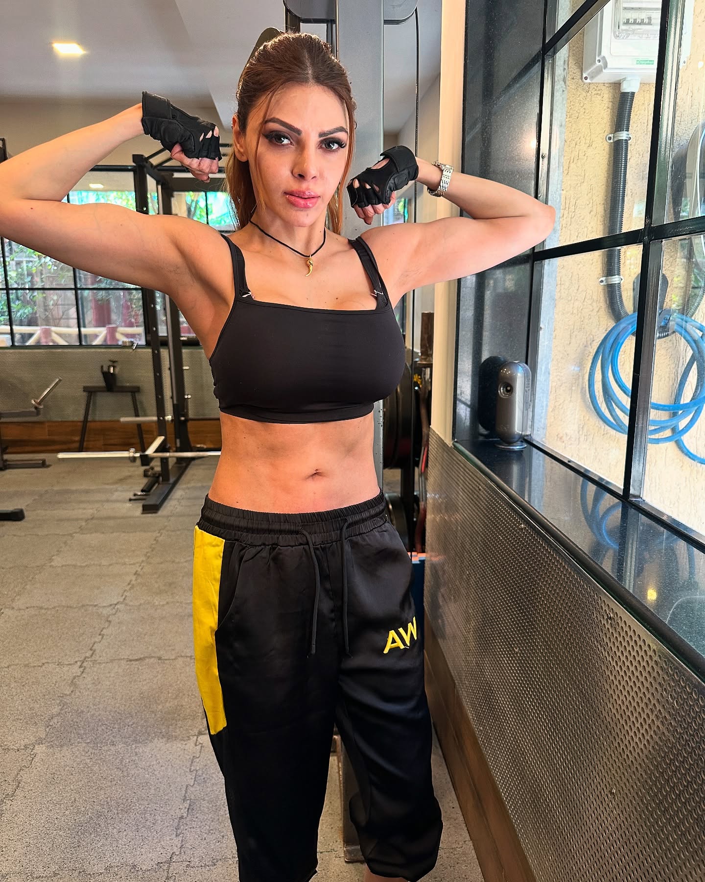 Sherlyn Chopra Gets Ripped: Fitness Transformation Revealed