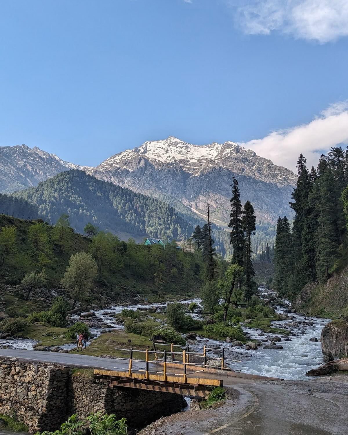 Tisca Chopra Shares Heartfelt Message For Kashmir After Recent Events Tisca Chopra Shares Heartfelt Message For Kashmir After Recent Events