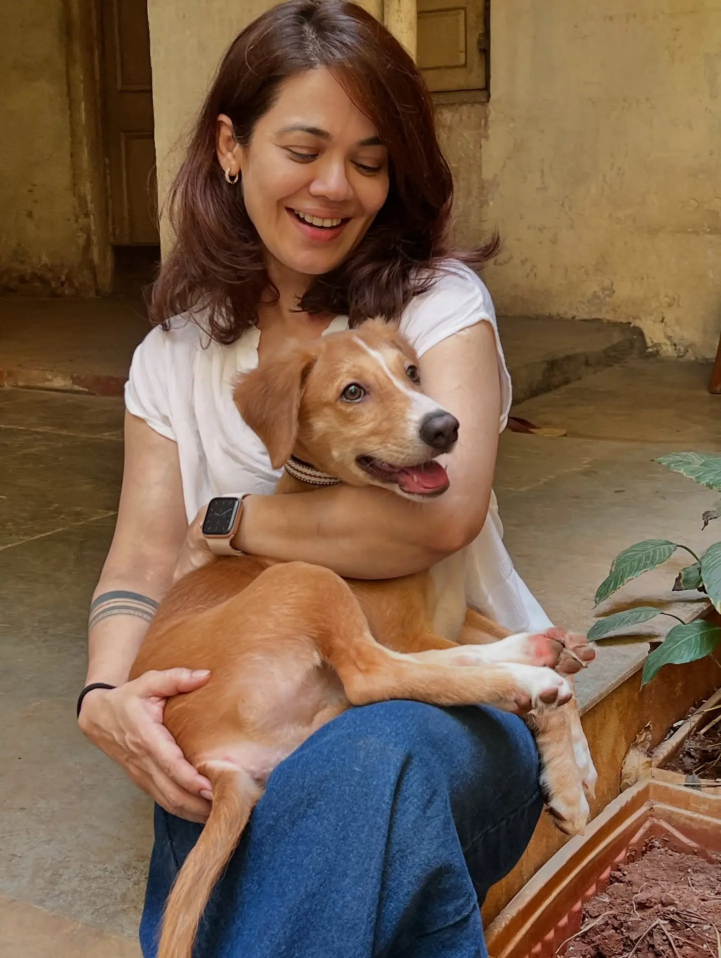 Adoptable Puppy Carter Seeks Loving Mumbai Home