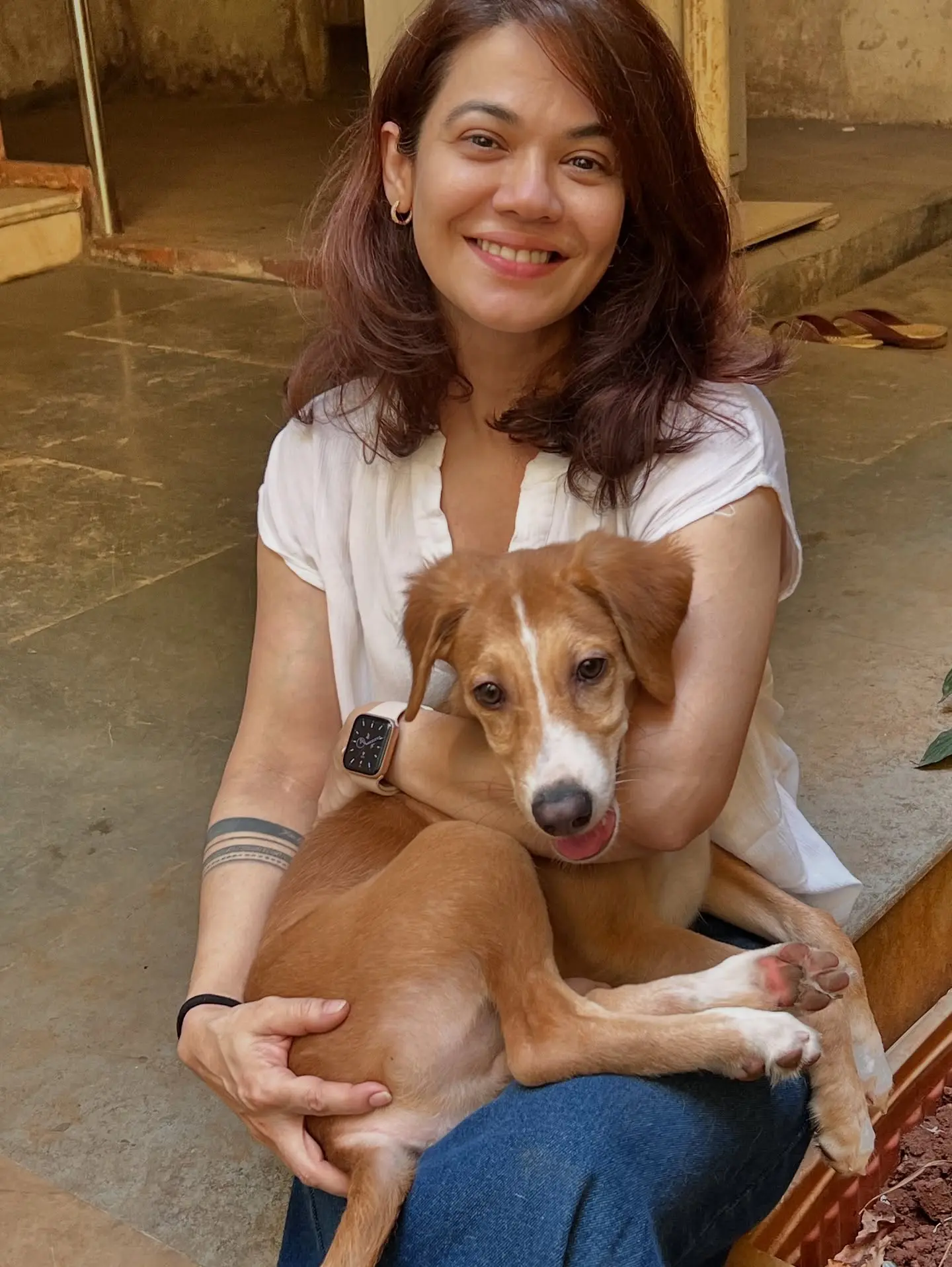 Adoptable Puppy Carter Seeks Loving Mumbai Home