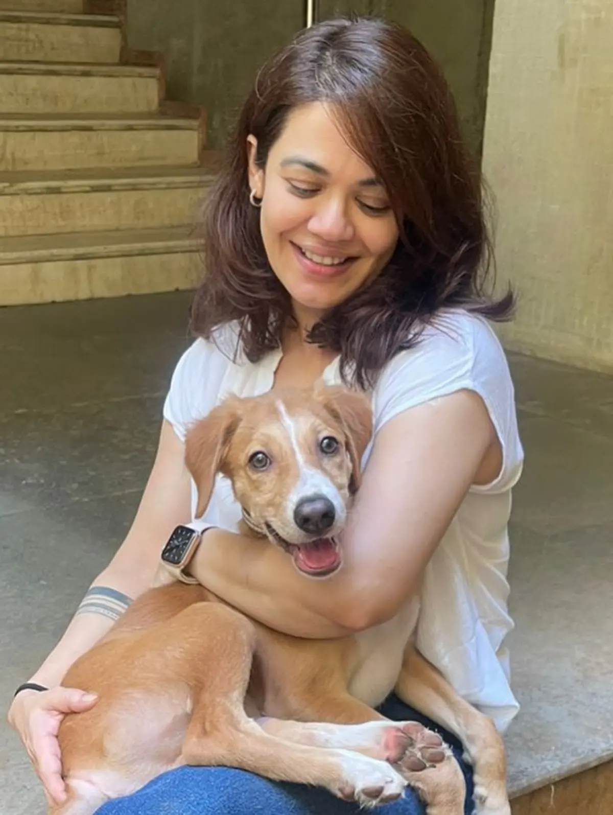 Adoptable Puppy Carter Seeks Loving Mumbai Home