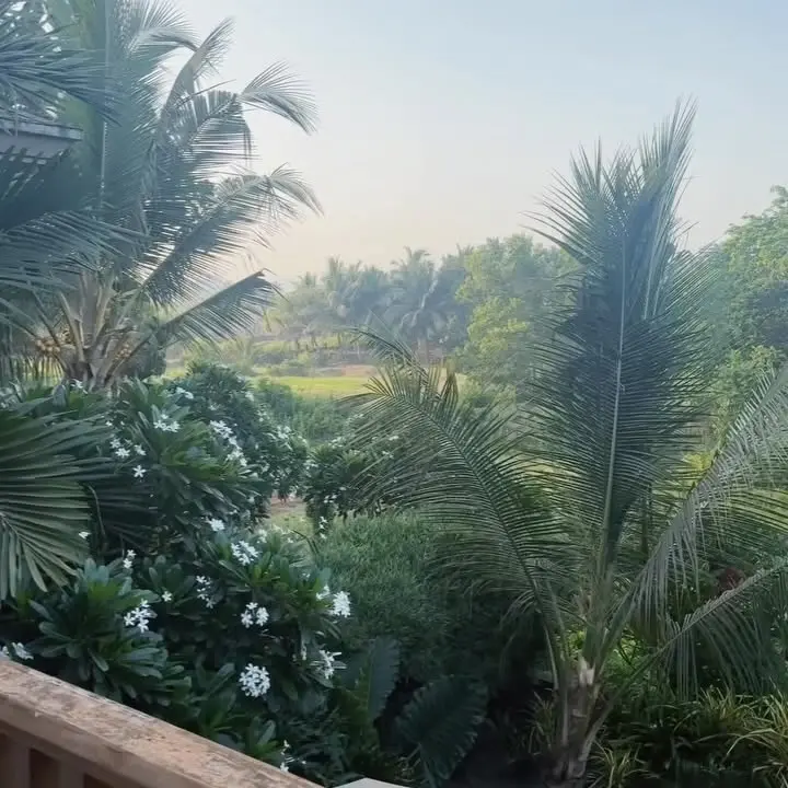 Alaya Furniturewala In Goa: Asanas, Aperol & Lifestyle
