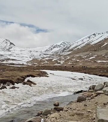 Director Anand Tiwari offers a serene ASMR journey through Ladakh scenic expanse in allure.