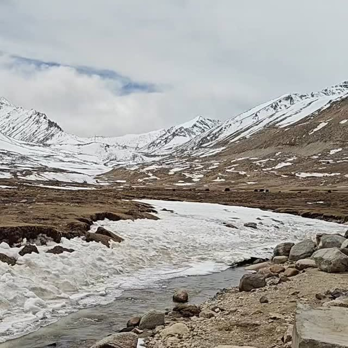 Anand Tiwari Captures ASMR Magic In Ladakh Director Anand Tiwari offers a serene ASMR journey through Ladakh scenic expanse in allure.