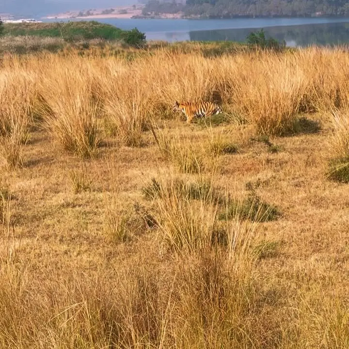 Biodiversity Day Sparks Global Environmental Action