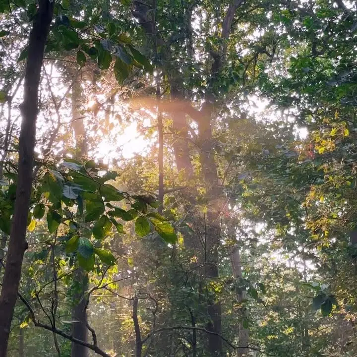 Biodiversity Day Sparks Global Environmental Action