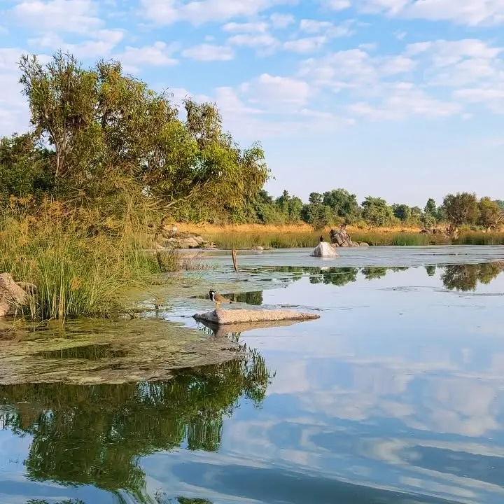 Biodiversity Day Sparks Global Environmental Action