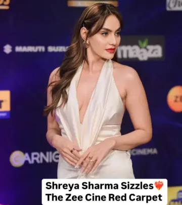 Bollywood Star Turns Heads At Zee Cine Awards