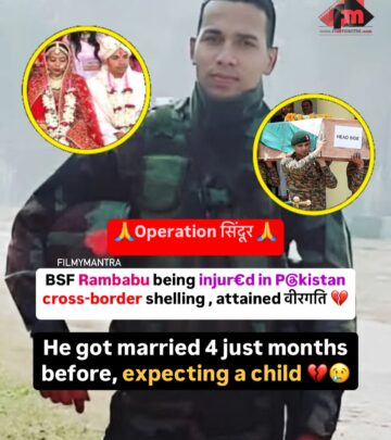 realted-article-image