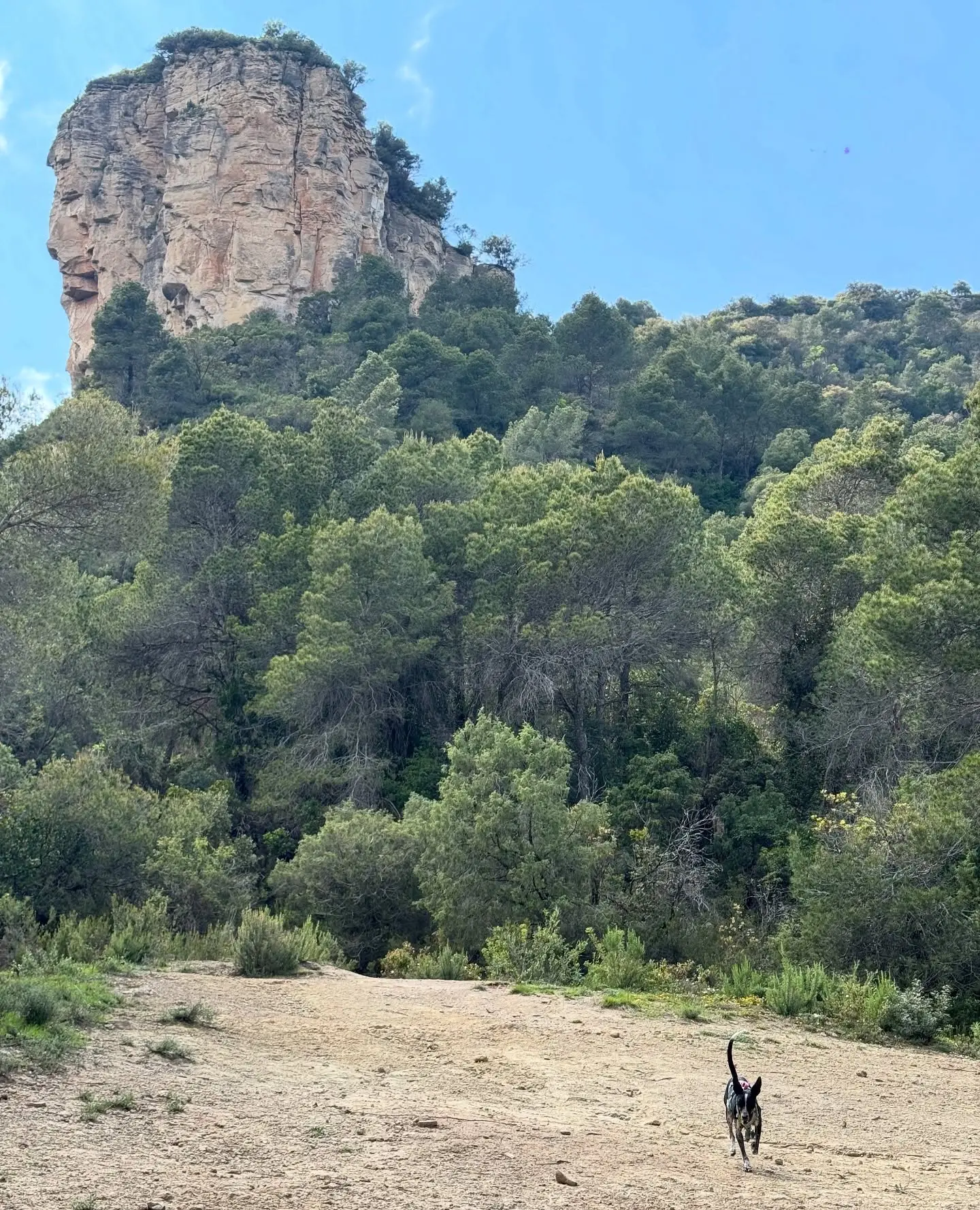 Catalonia Mountain Hike: Mud, Miles & Pizza Dough