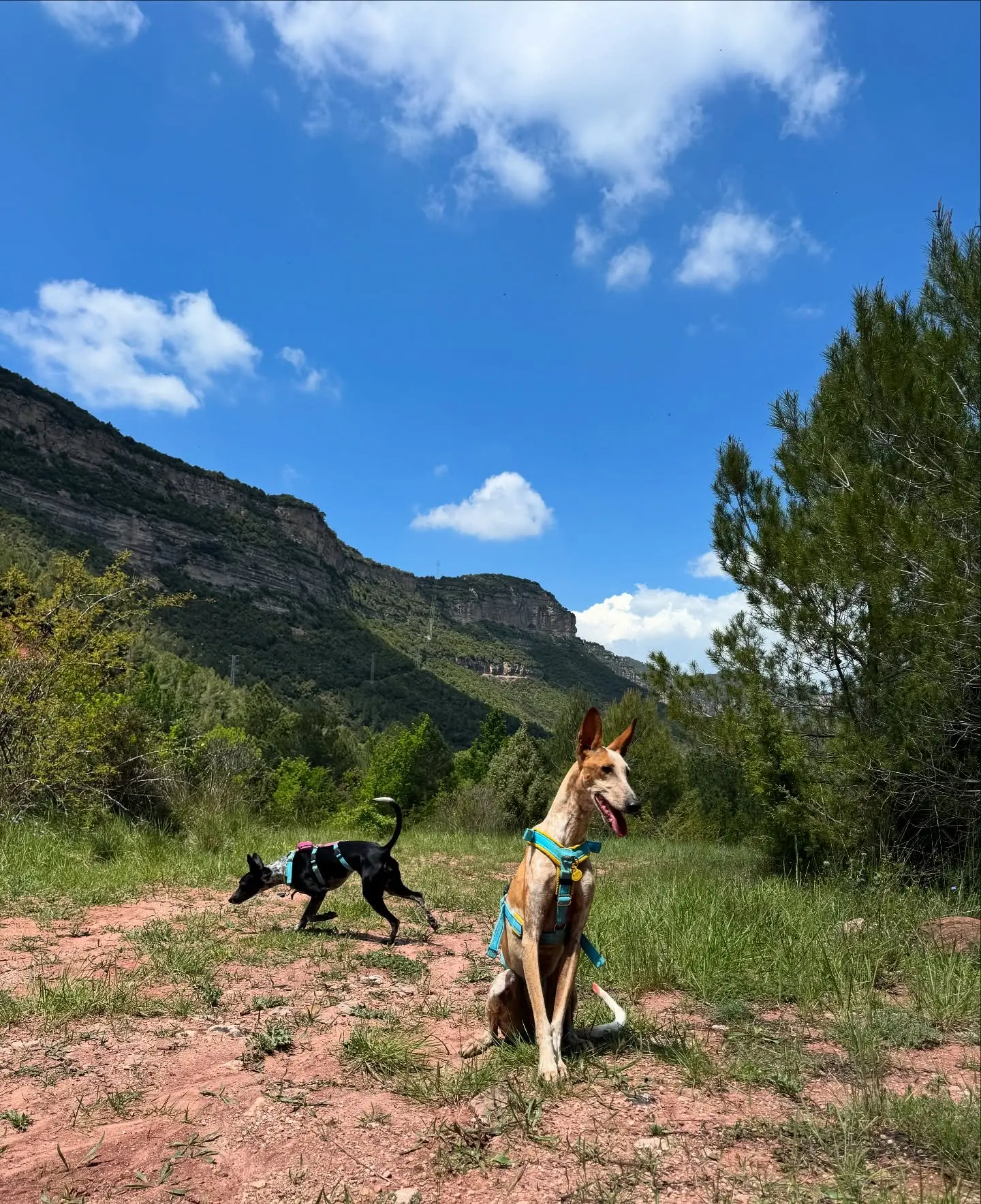 Catalonia Mountain Hike: Mud, Miles & Pizza Dough