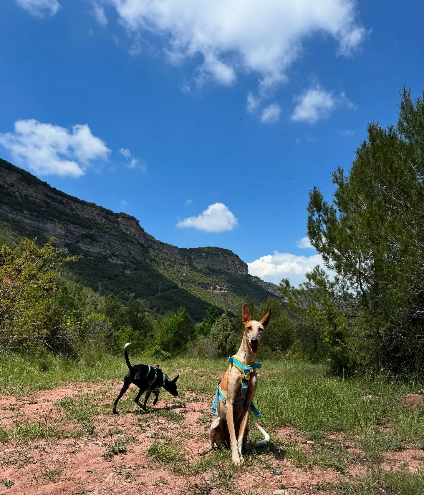 Catalonia Mountain Hike: Mud, Miles & Pizza Dough