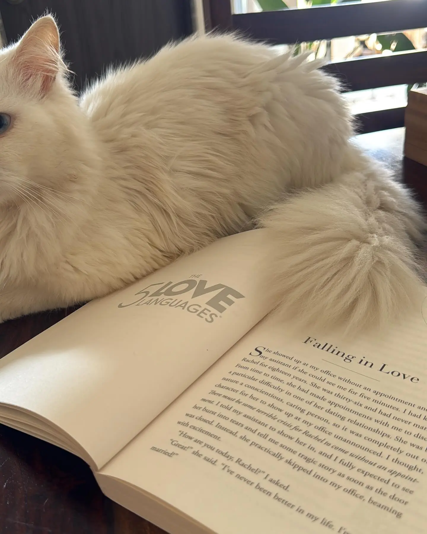 Celebrity Bookmark Inspires Bookish Trend Sonyaa Ayoddhya reveals her adorable cat-themed bookmark inspiring fans to embrace reading.