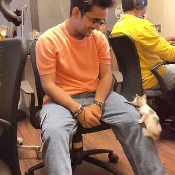 realted-article-image