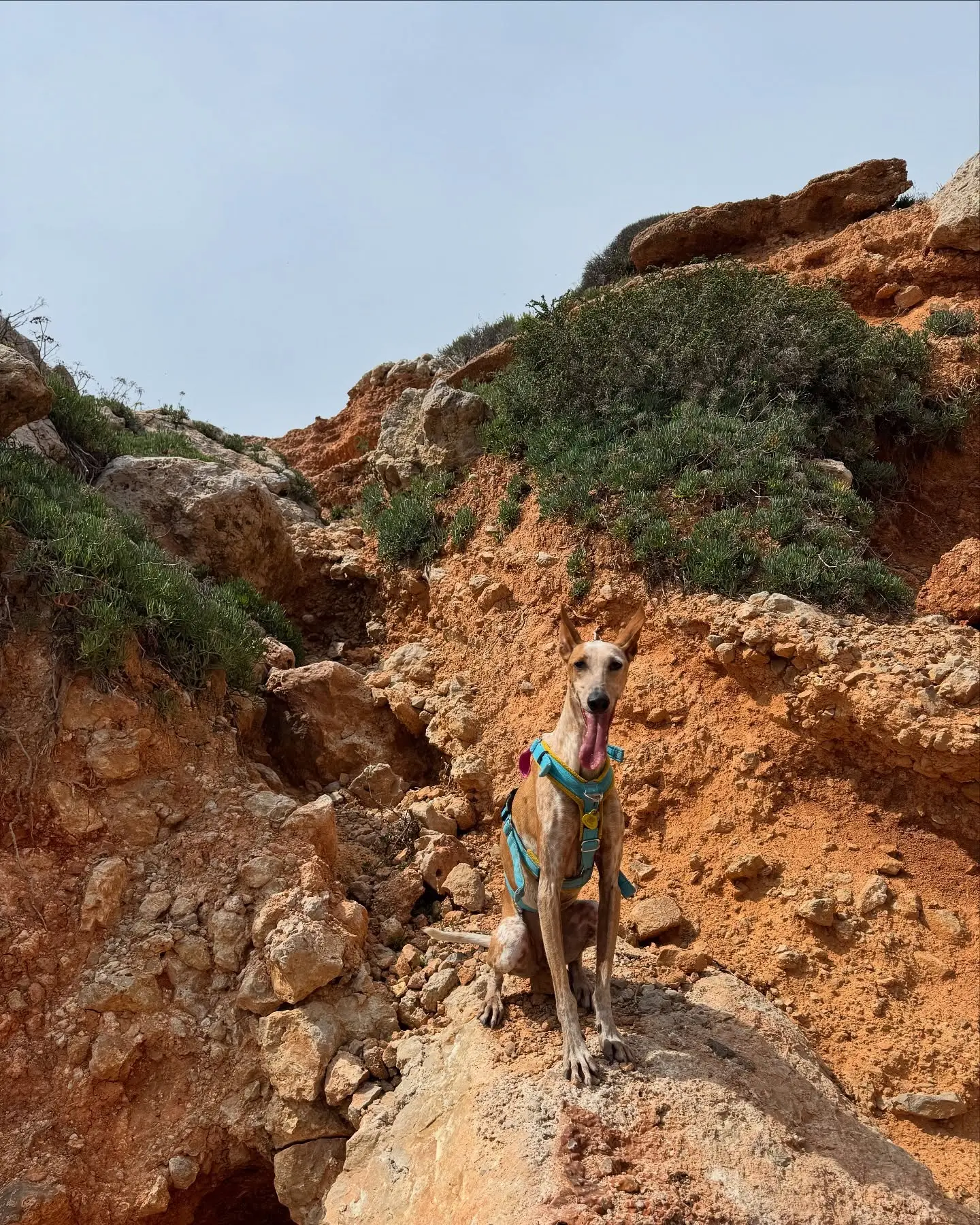 Coastal Hike Journey Ends In Sitges