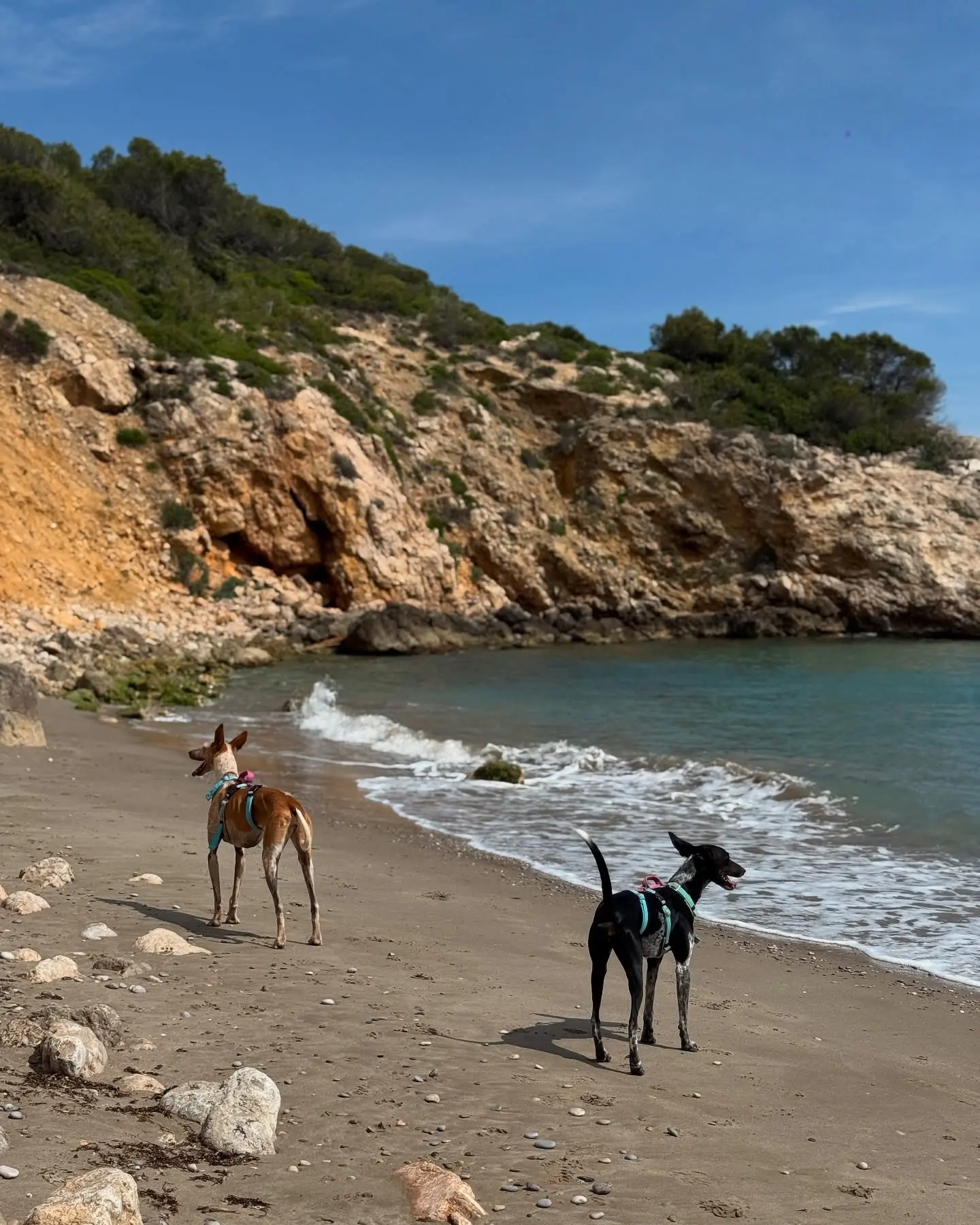 Coastal Hike Journey Ends In Sitges