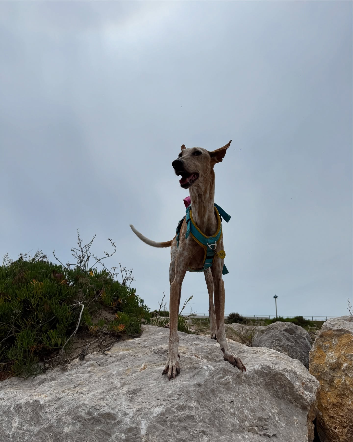 Coastal Hike Journey Ends In Sitges
