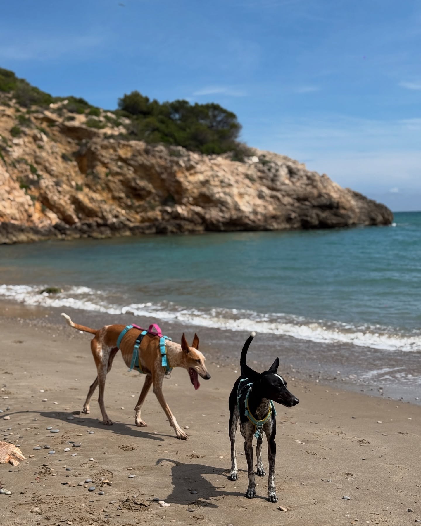 Coastal Hike Journey Ends In Sitges