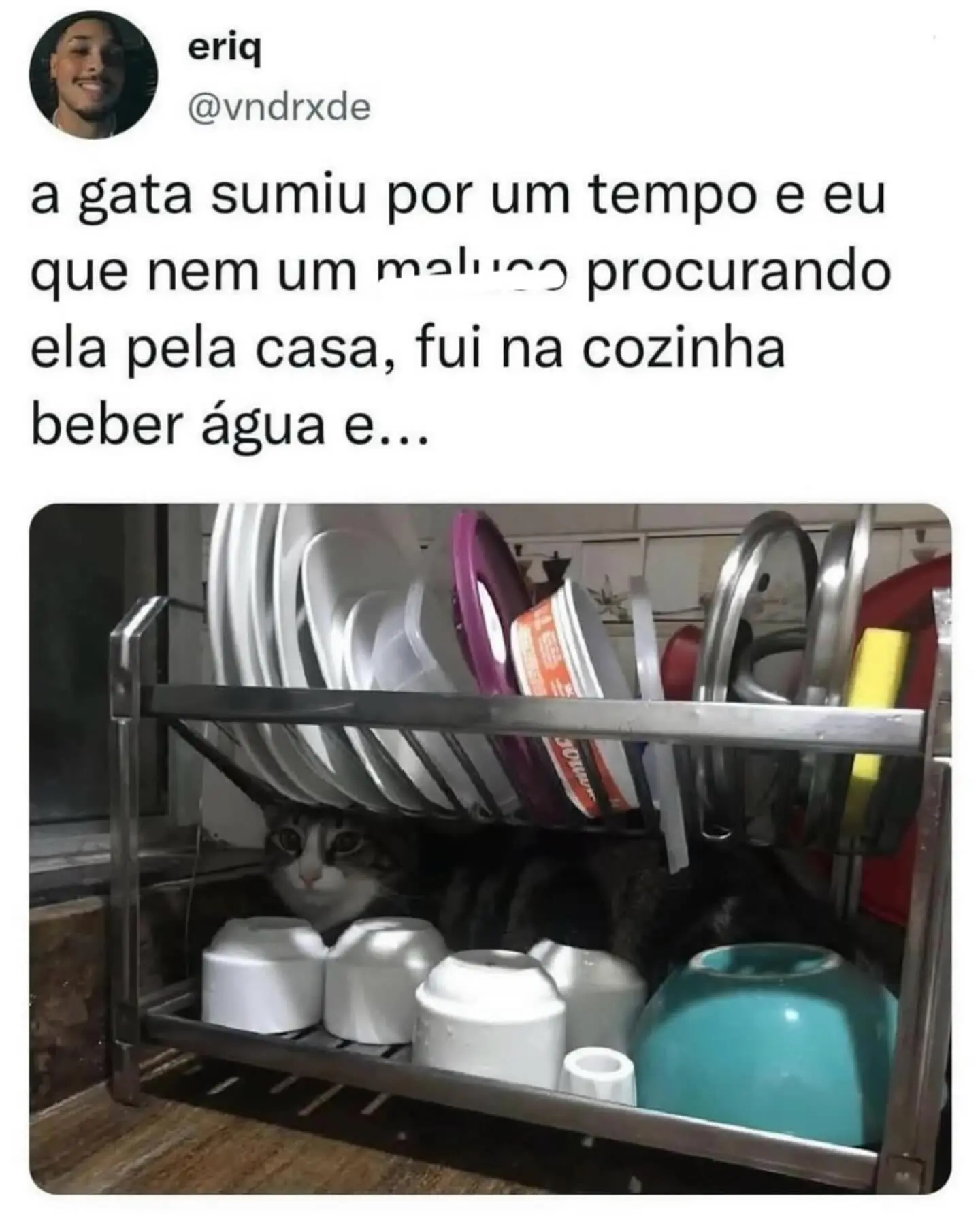 Daily Meme Compilation Delights Fans A vibrant collection of humorous memes curated by Perrengue Chique ignites laughter indeed
