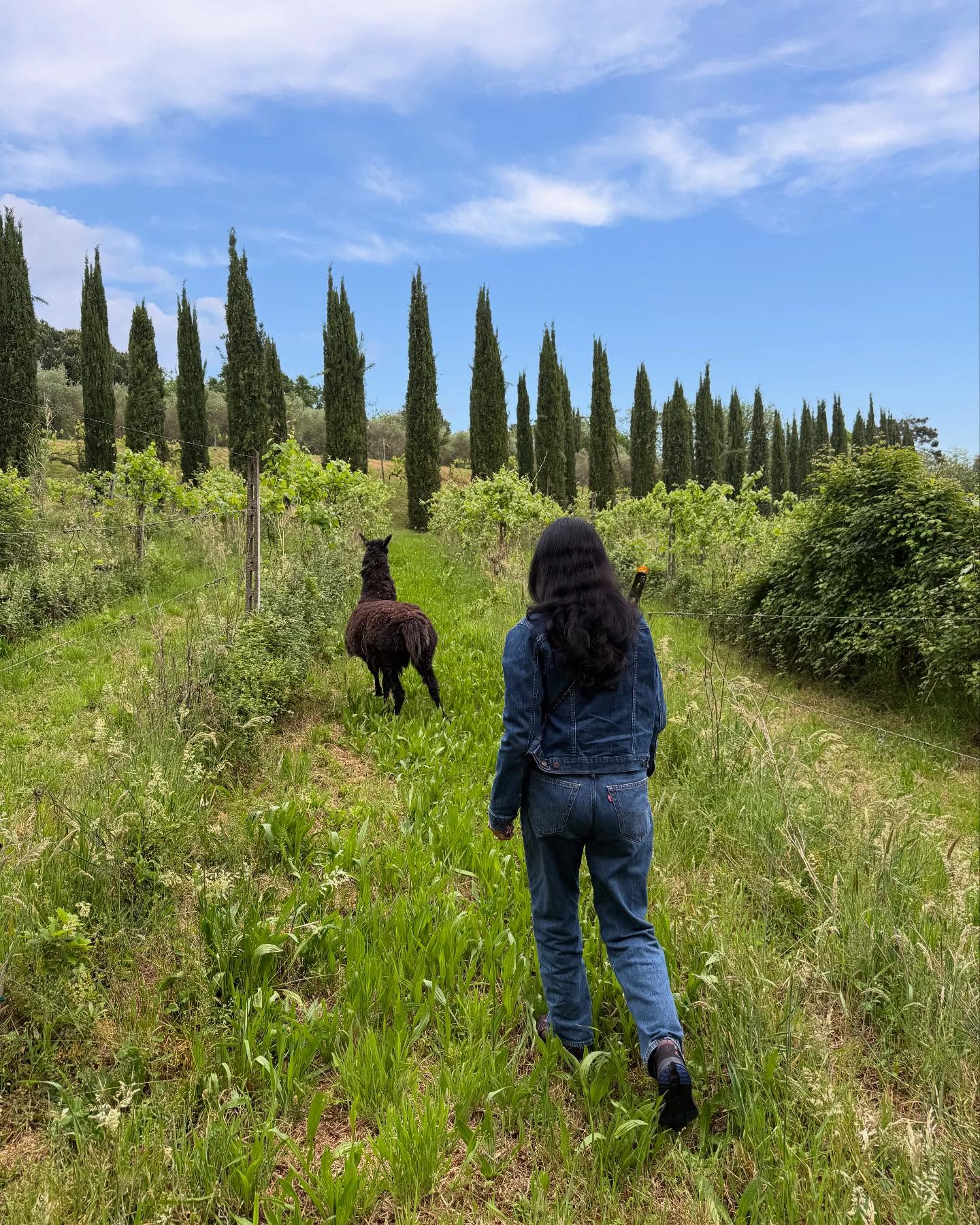 Deepti Bhatnagar’s Alpaca Adventure In Tuscany Celebrity enjoys a unique travel moment with an alpaca during her Tuscan getaway.