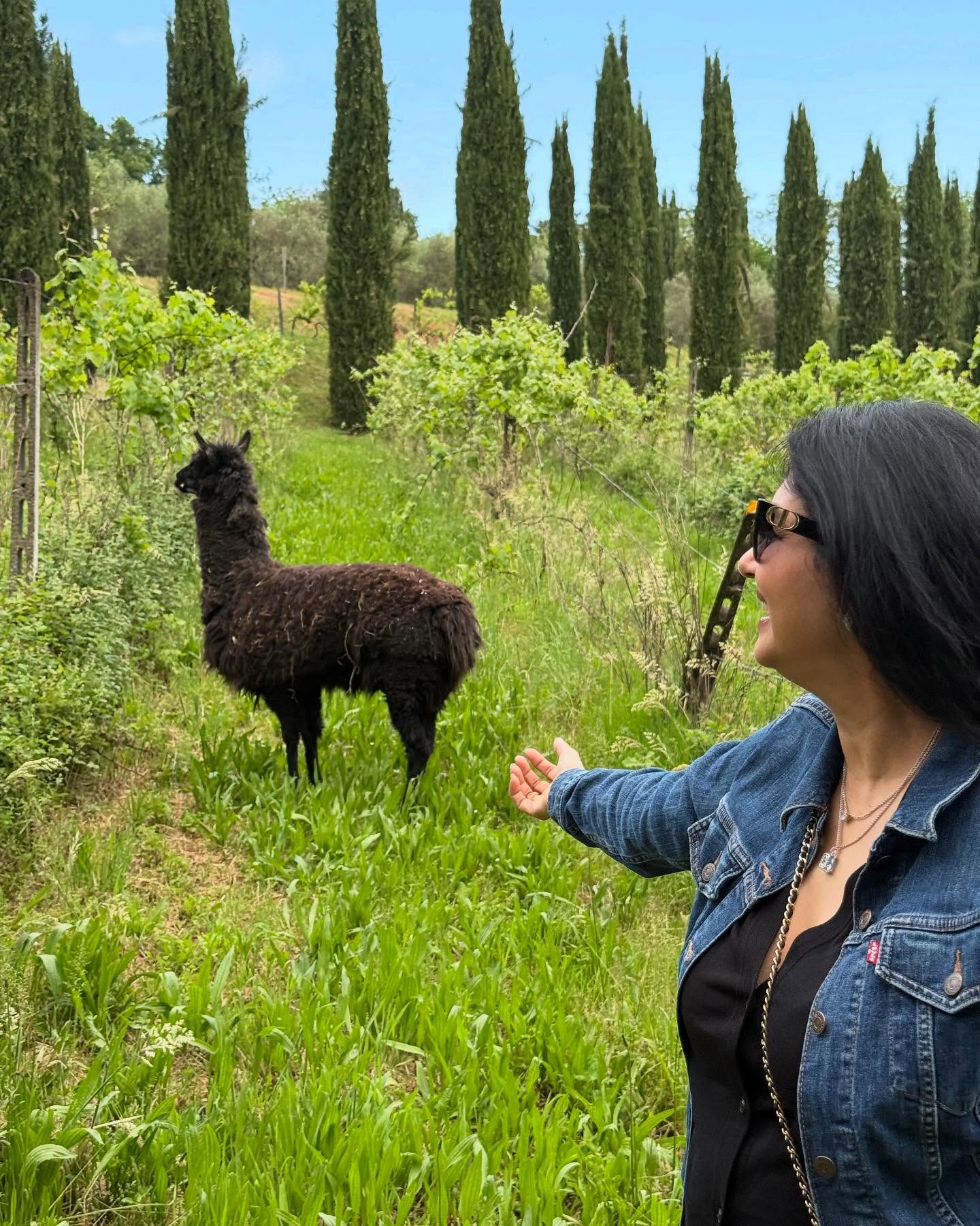 Deepti Bhatnagar’s Alpaca Adventure In Tuscany