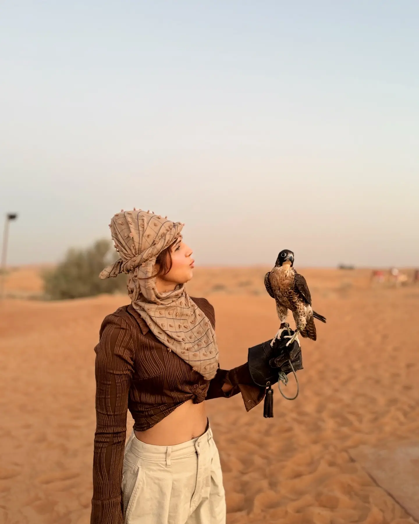 Dubai Desert Family Escapade