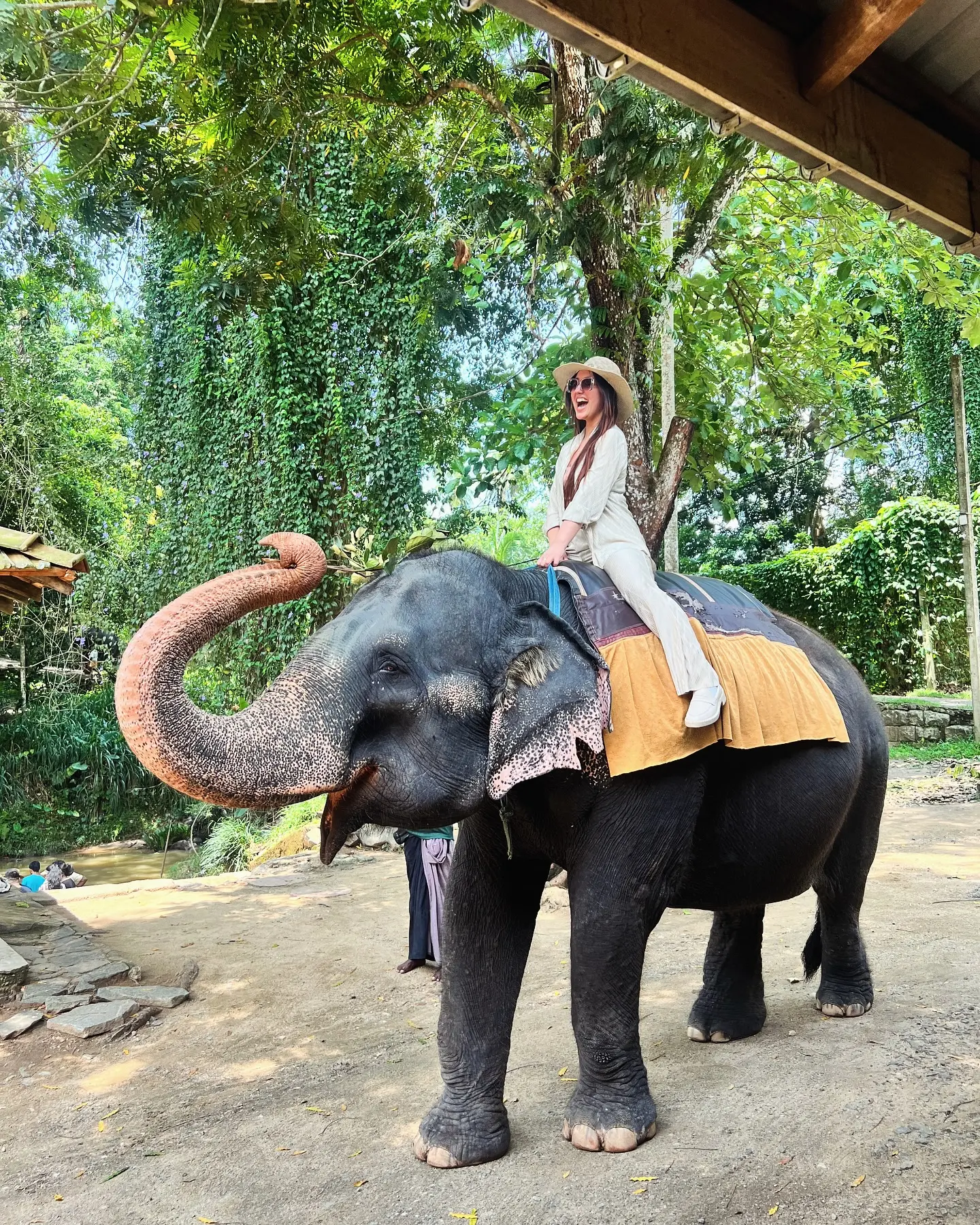 Ele-Fancy Encounter In Sri Lanka Celebrity Ashnoor Kaur embarks on a Sri Lankan adventure embracing gentle giants in style.