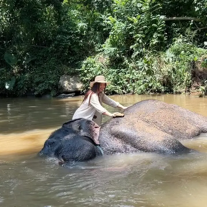 Ele-Fancy Encounter In Sri Lanka