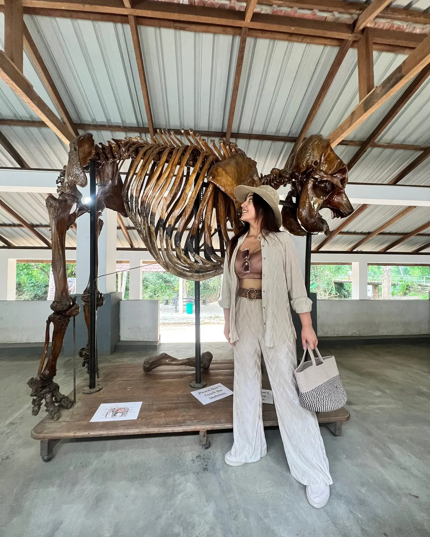 Ele-Fancy Encounter In Sri Lanka
