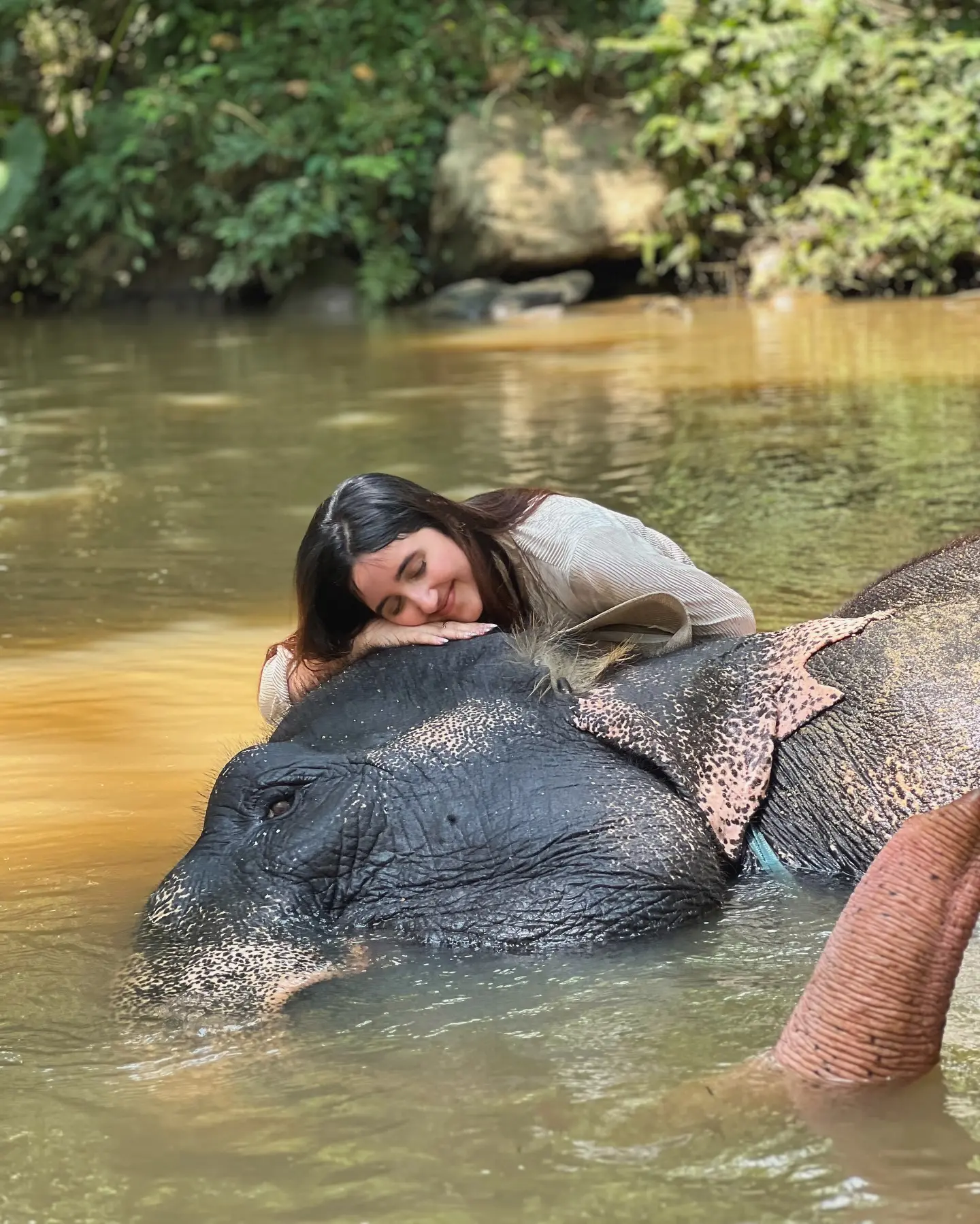 Ele-Fancy Encounter In Sri Lanka