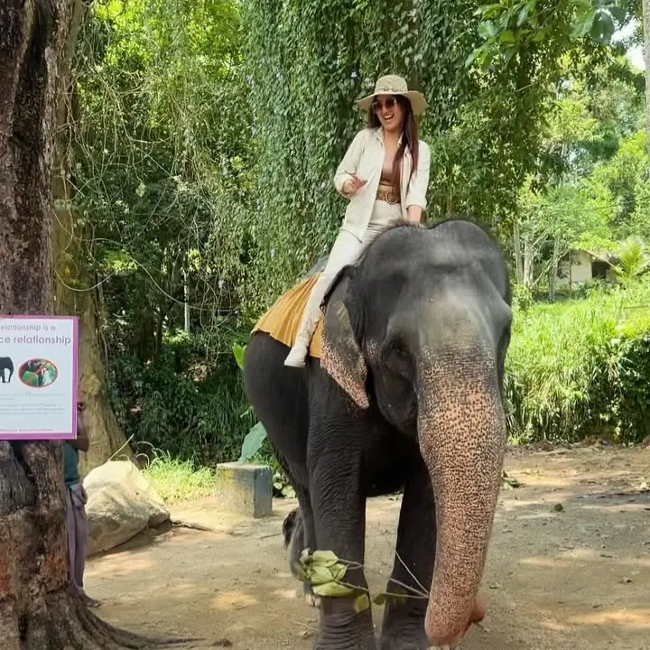 Ele-Fancy Encounter In Sri Lanka