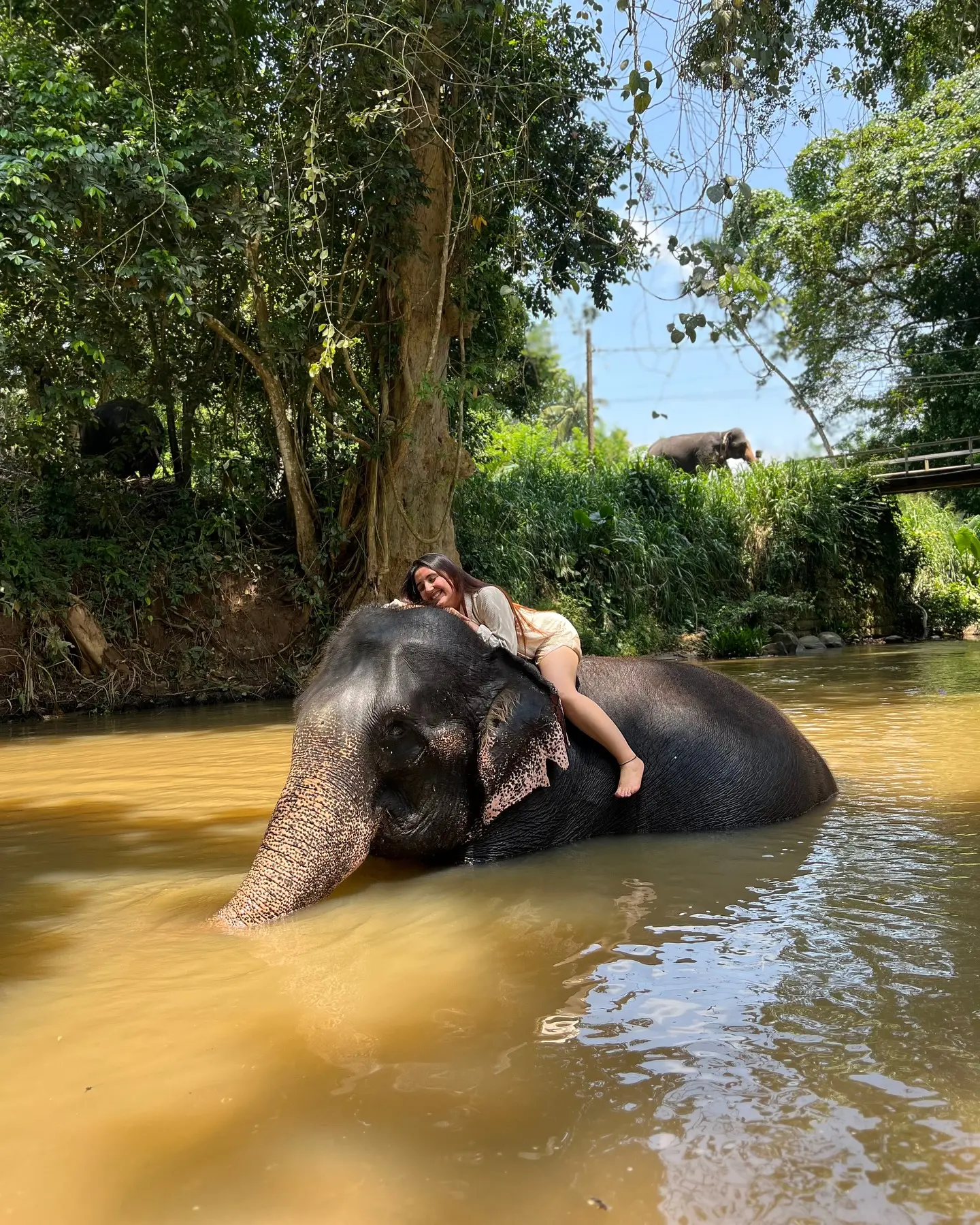 Ele-Fancy Encounter In Sri Lanka