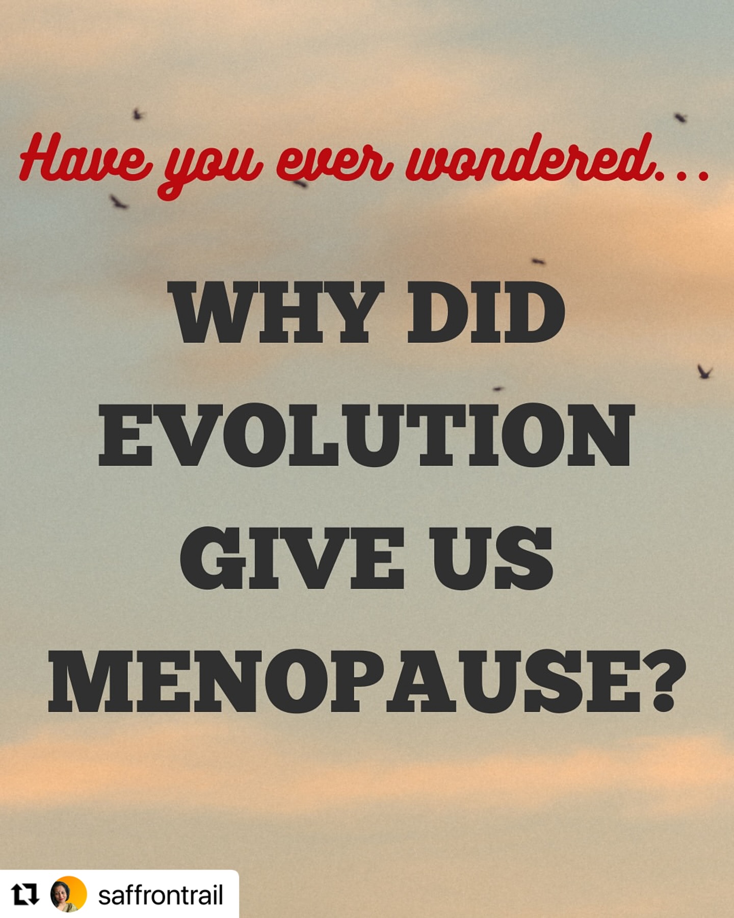 Empowering Menopause: Embracing Wisdom And Sass Lisa Ray reaffirms that turning 50 sparks wisdom, sass, and revolutionary insight in life!