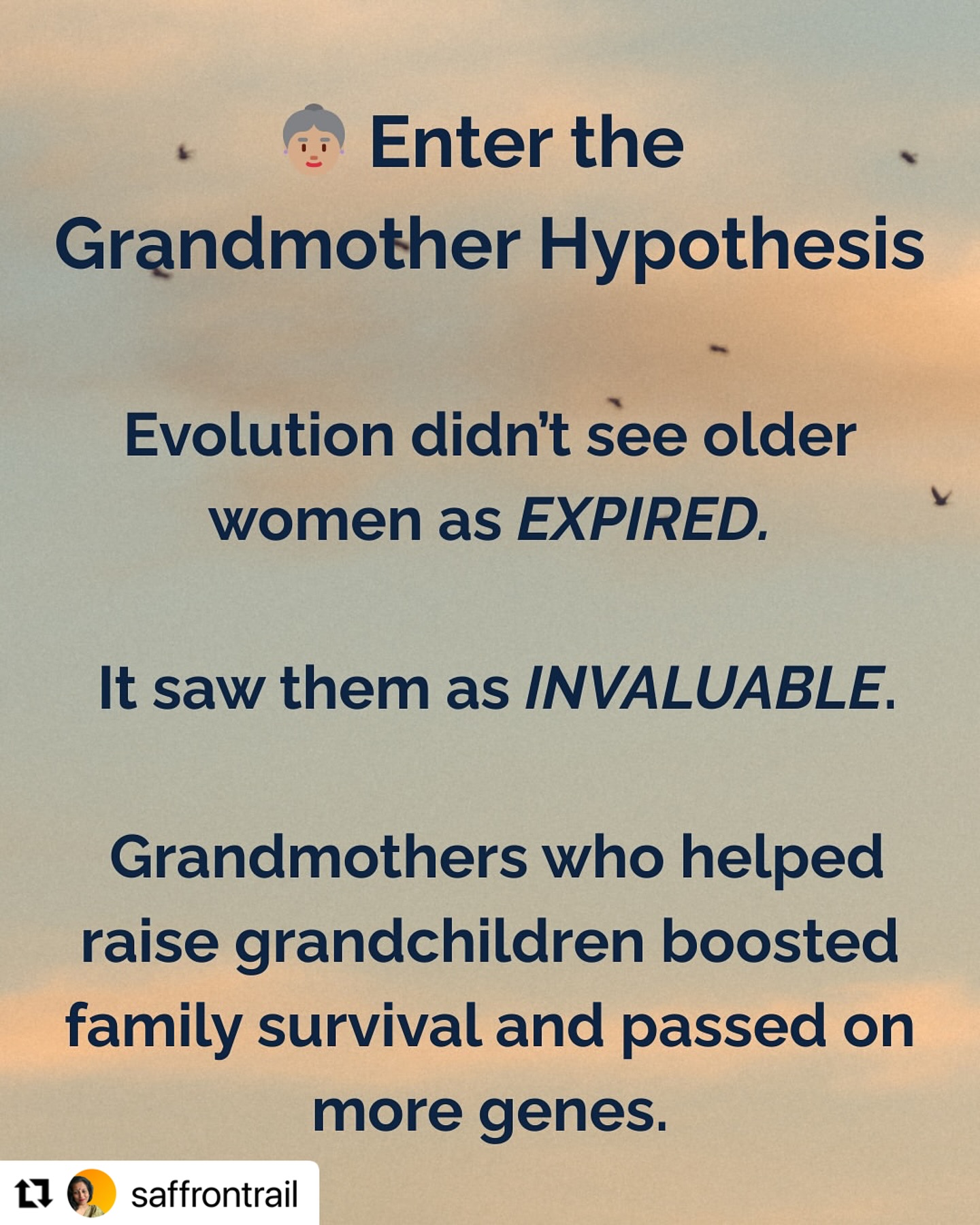 Empowering Menopause: Embracing Wisdom And Sass