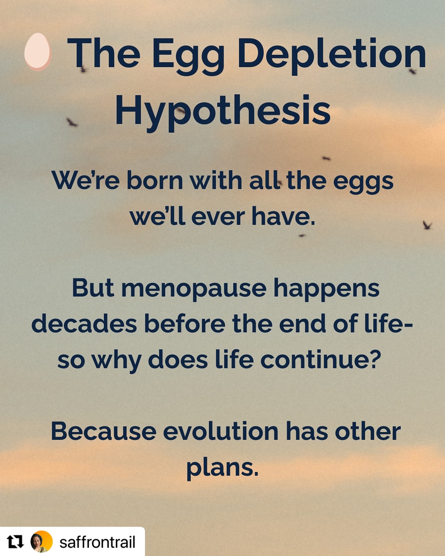 Empowering Menopause: Embracing Wisdom And Sass