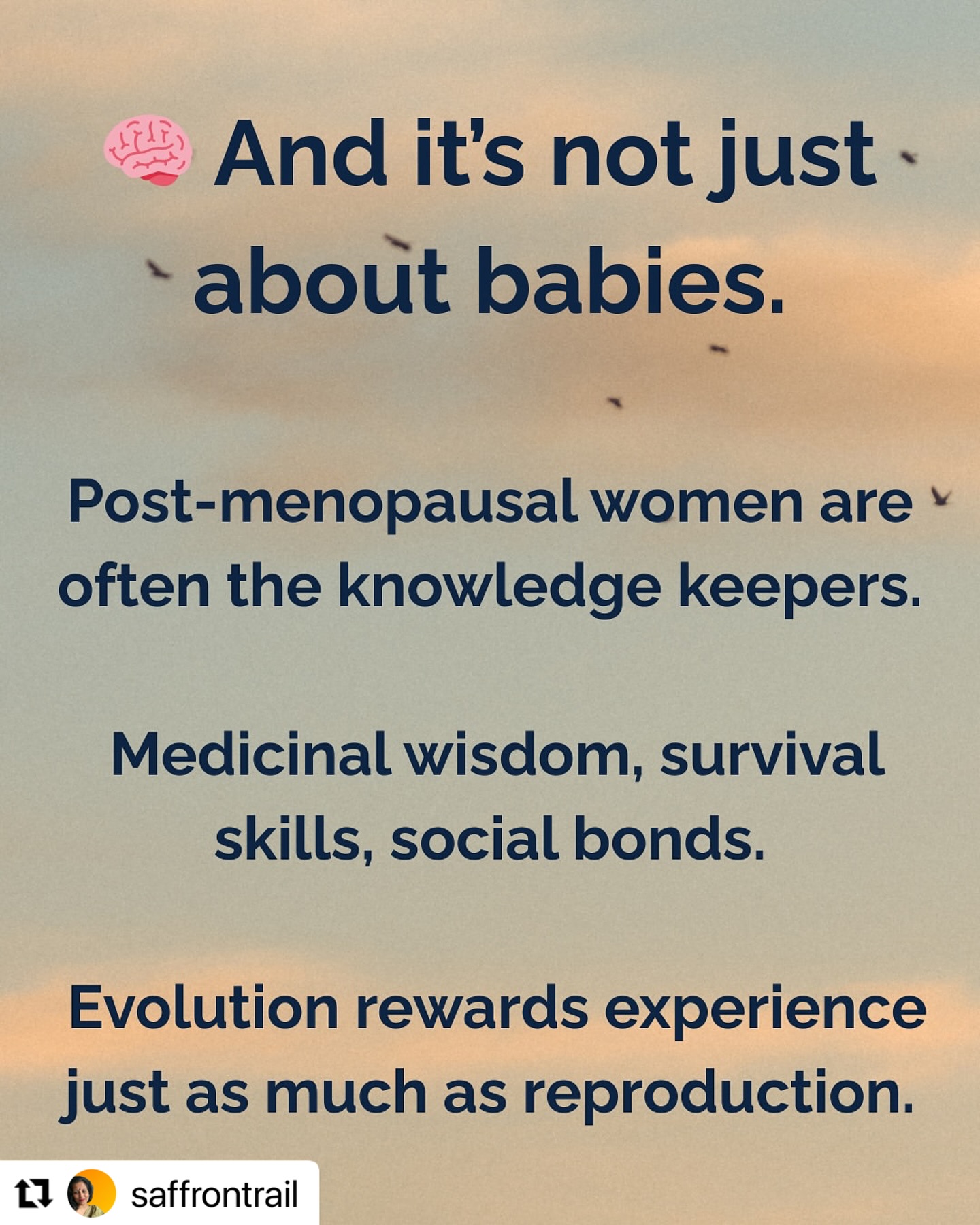 Empowering Menopause: Embracing Wisdom And Sass
