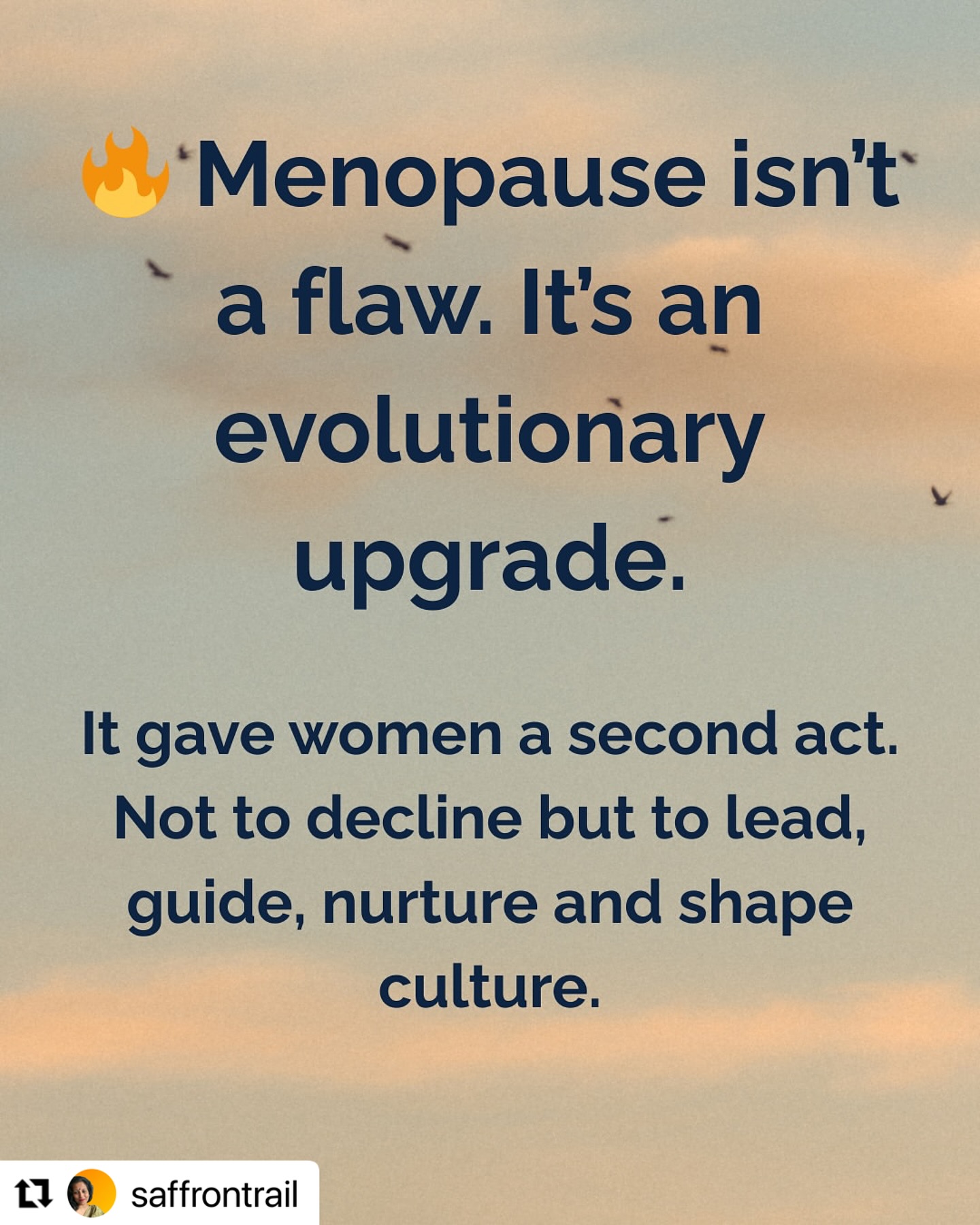 Empowering Menopause: Embracing Wisdom And Sass