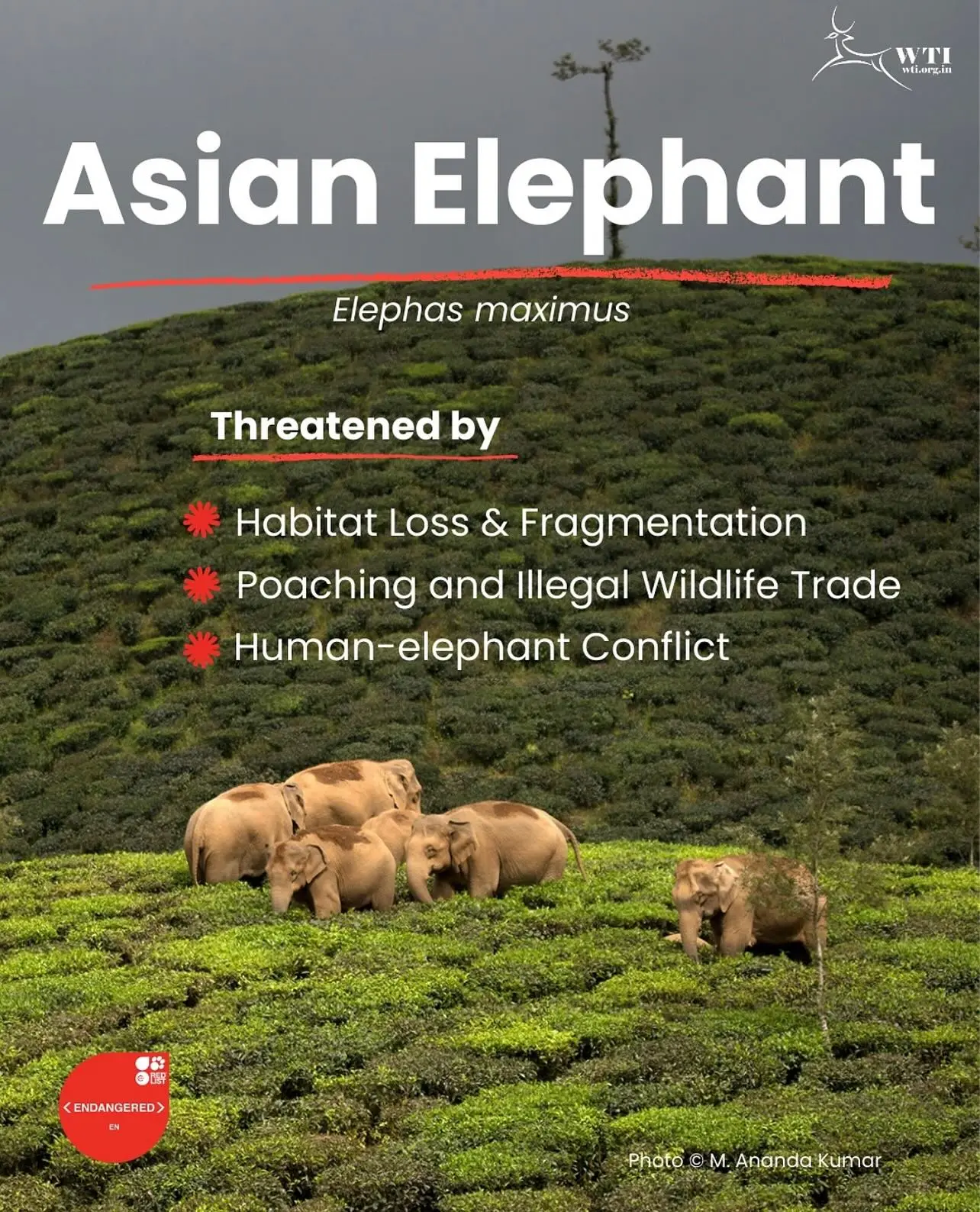 Endangered Species Day Inspires Global Conservation Action