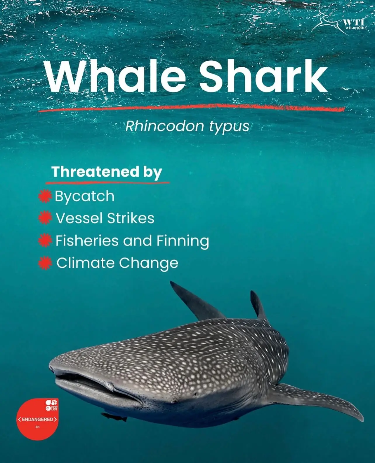 Endangered Species Day Inspires Global Conservation Action