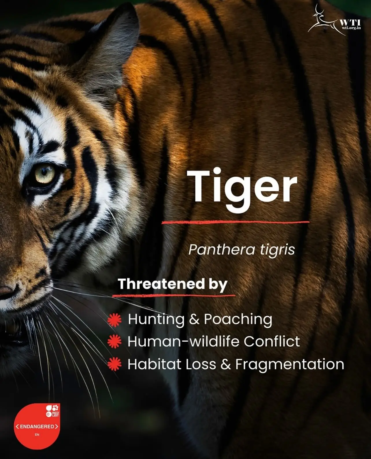 Endangered Species Day Inspires Global Conservation Action