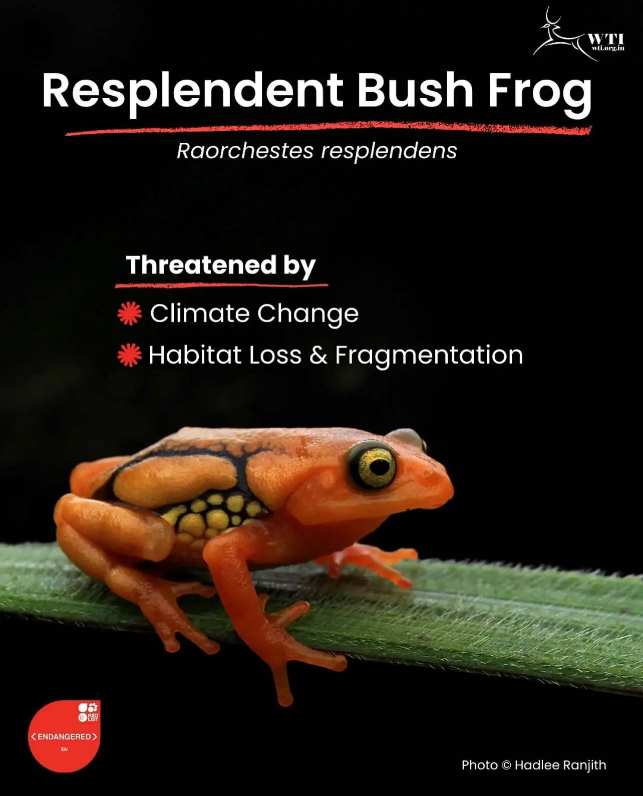 Endangered Species Day Inspires Global Conservation Action