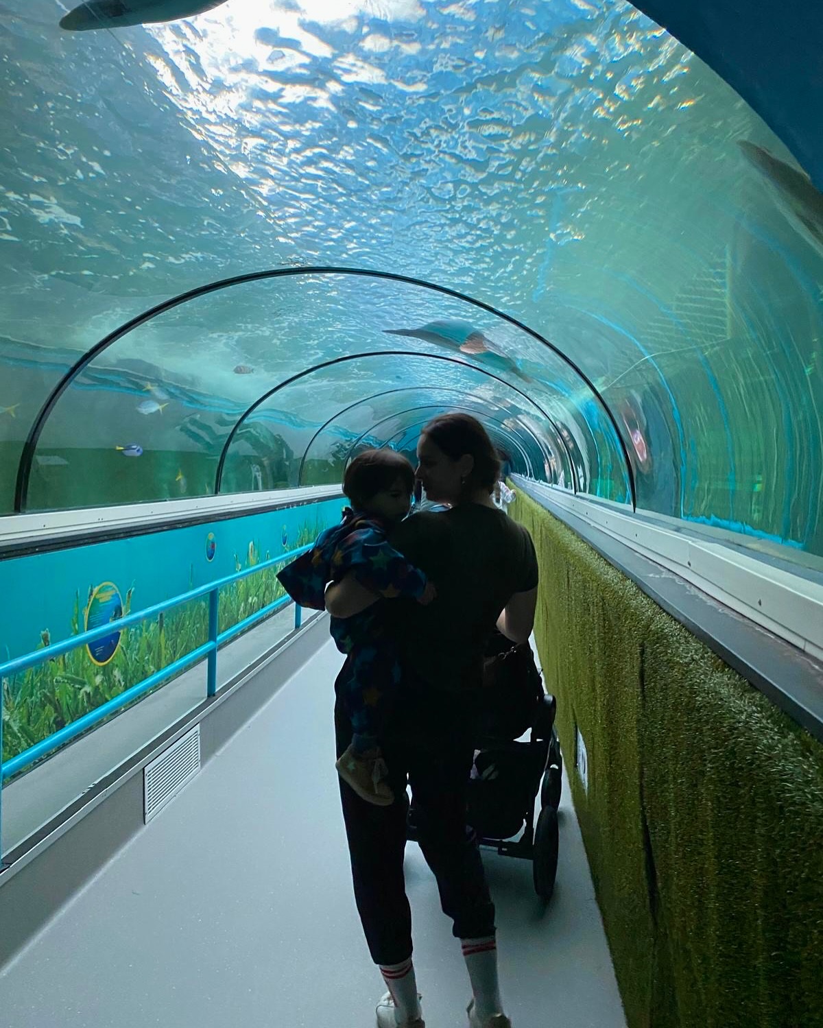 Celebrity fosters childlike wonder during an underwater adventure.